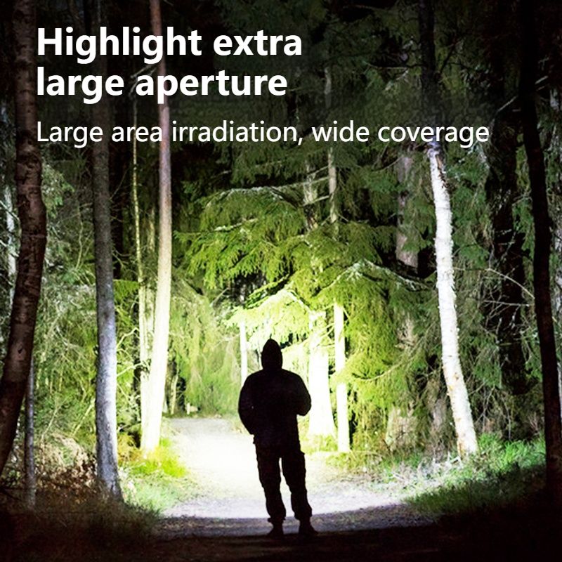 Philips 1236 Flashlight LED Wi - Outdoor Lighting Philips recensie en prijs
