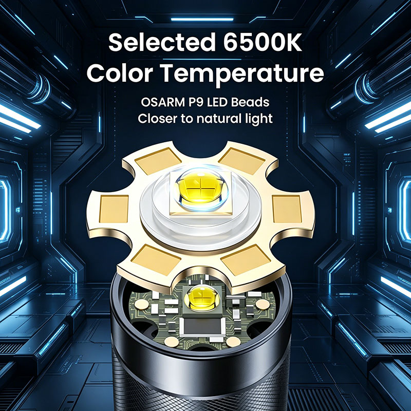Philips Sfl8286 Strong Flashli - Outdoor Lighting Philips recensie en prijs