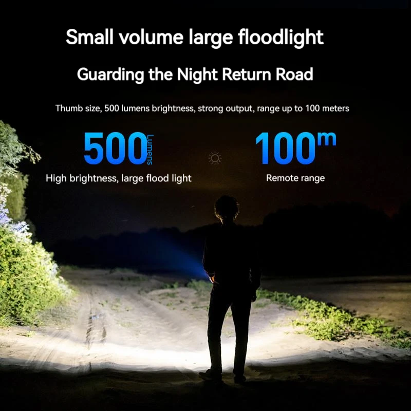 PHILIPS EDC Flashlight LED Rec - Outdoor Lighting Philips recensie en prijs