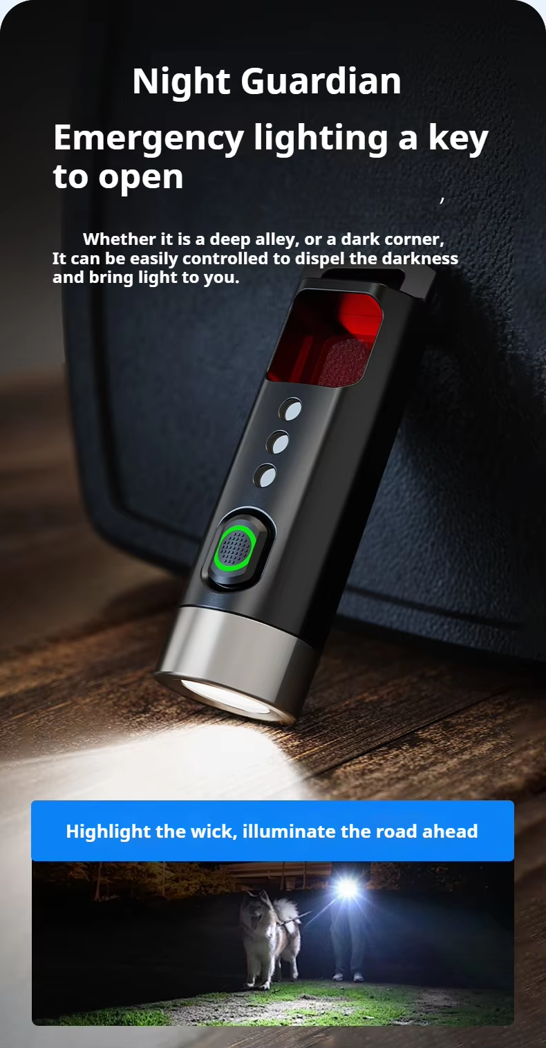 Philips Sfl 1121P Edc Flashlig - Outdoor Lighting Philips recensie en prijs