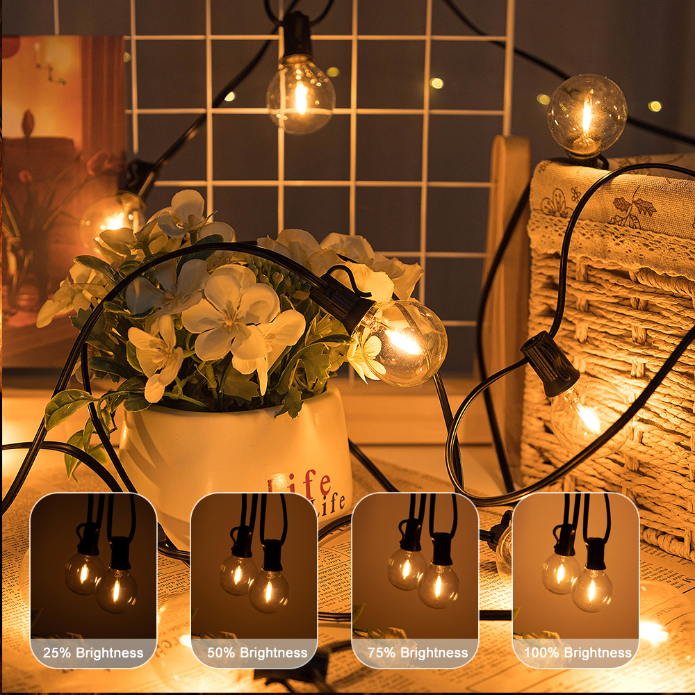 G40 LED Outdoor String Ball Li - Outdoor Lighting Driveway recensie en prijs