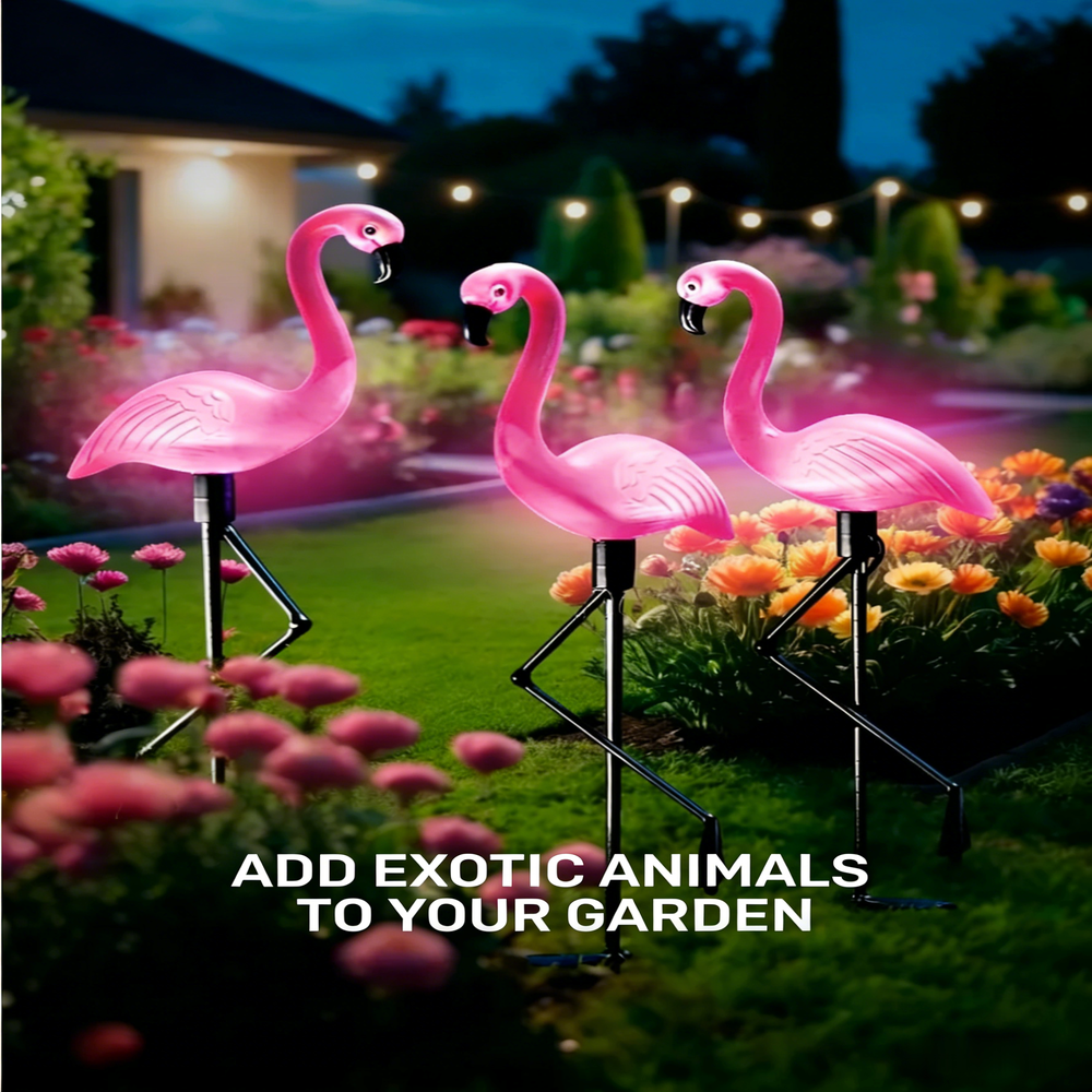 3Pcs Solar Powered Flamingo Gr - Outdoor Lighting Driveway recensie en prijs
