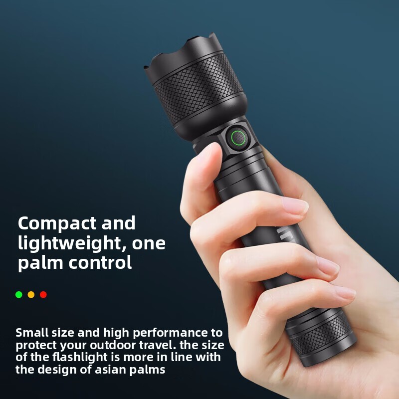 2025 NEW Philips SFL2188 LED A - Outdoor Lighting Philips recensie en prijs