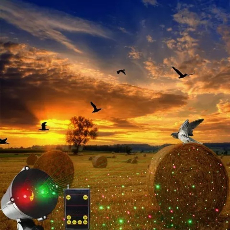 Motion   Bird Repeller with    - Outdoor Lighting Controller recensie en prijs