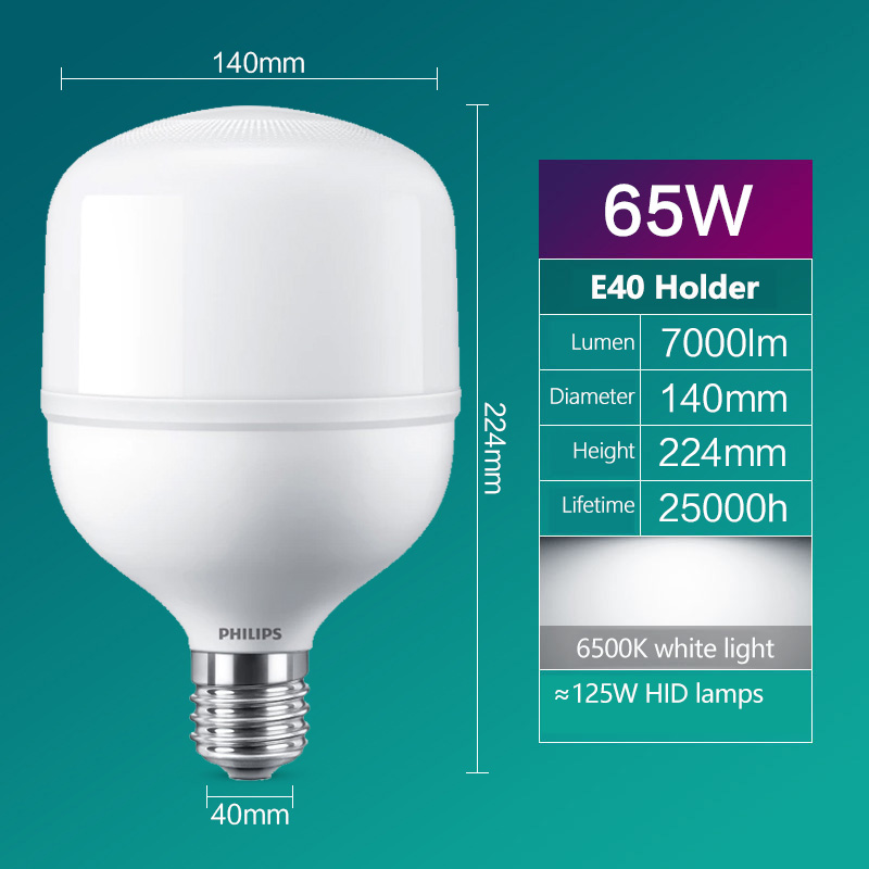 Philips LED T160 Bulb E40 65W  - Outdoor Lighting Philips recensie en prijs