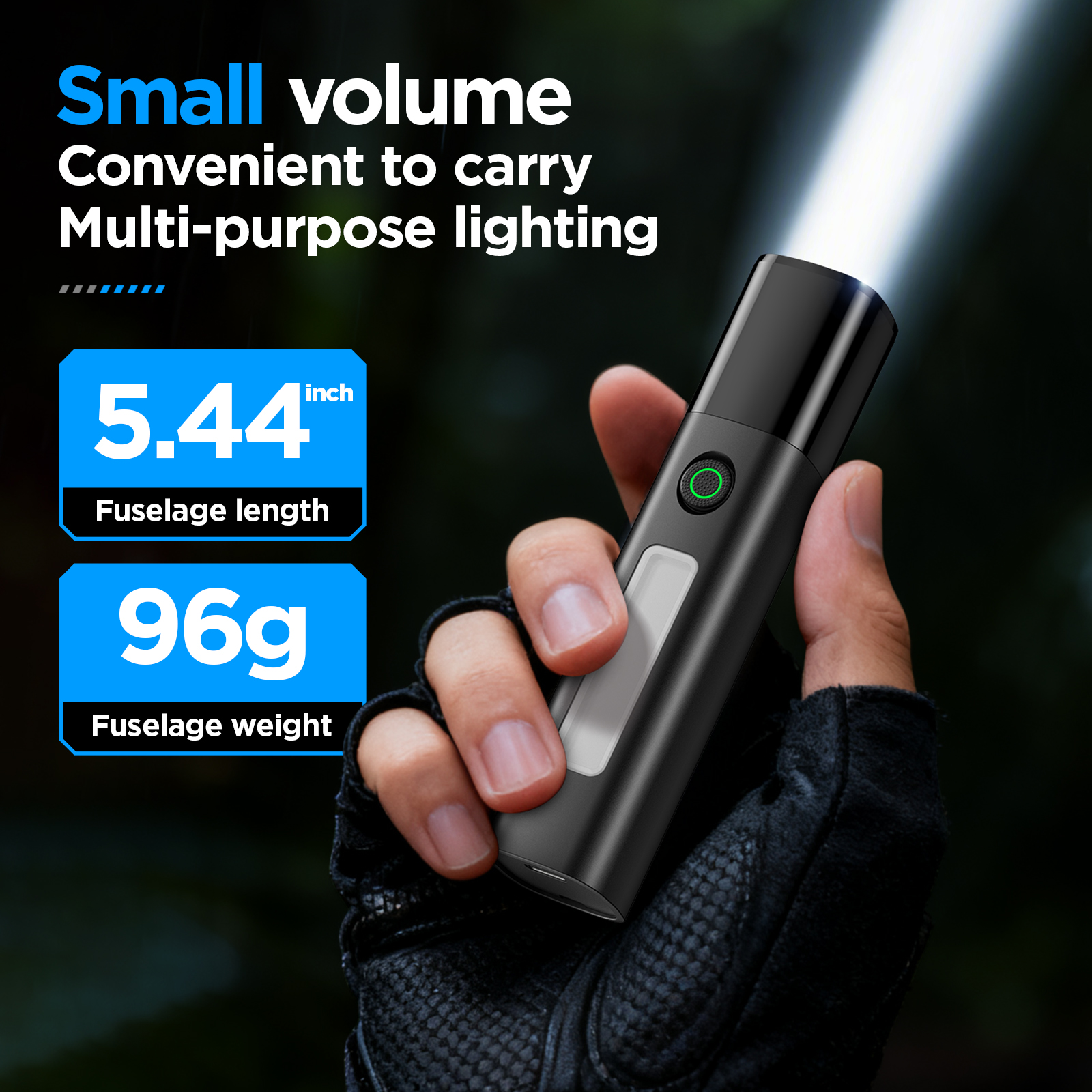Philips SFL 1151 Flashlight wi - Outdoor Lighting Philips recensie en prijs