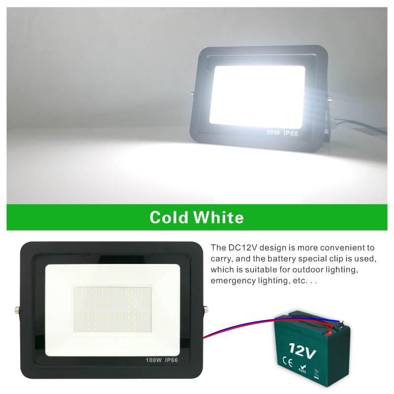 20W 30W 50W 100W DC12V Led Flo - Outdoor Lighting Volt recensie en prijs