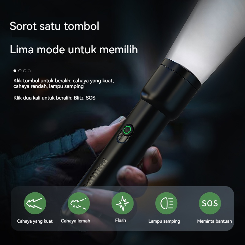 Philips SFL1123 Stepless Dimmi - Outdoor Lighting Philips recensie en prijs